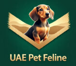Uae Pet Feline